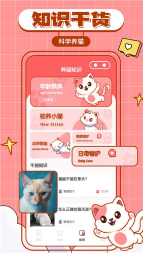 猫咪翻译物语手机版
