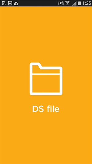 DS file文件管理