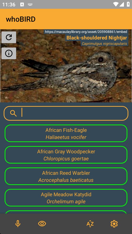 whoBIRD