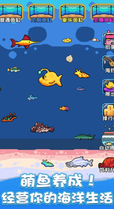 快來養(yǎng)魚 v1.0 1